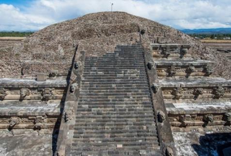 斑马铁军果,断决策,莫塔无缘续,大发彩神,彩票平台,安全购彩,彩票投注,快速开奖