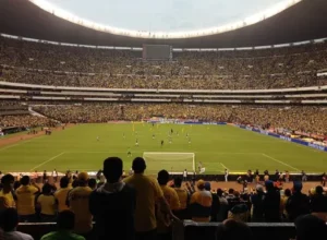 大乐透期号,专家推荐,质合分析前,大发彩神,彩票平台,安全购彩,彩票投注,快速开奖