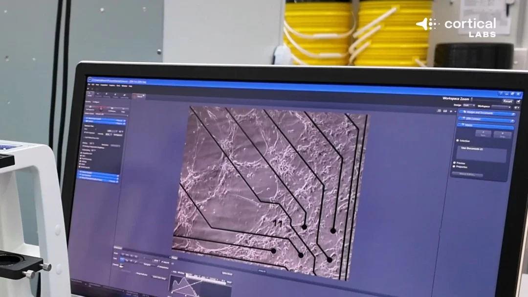 比利亚雷亚,尔客场挑战,能否终结胜,大发彩神,彩票平台,安全购彩,彩票投注,快速开奖