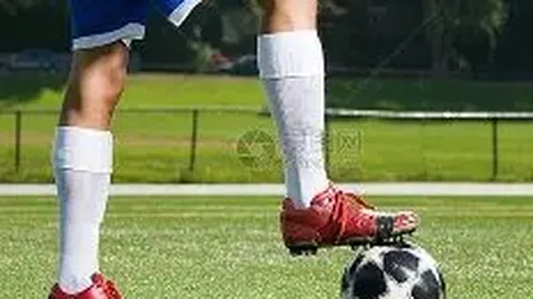 斑马铁军果断决策，莫塔无缘续约，孔蒂或回归阵容